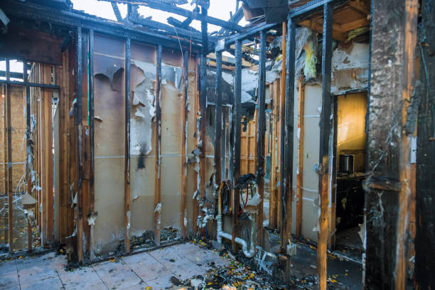 Professional Fire Damage Repair technician working in East Hazel Crest, IL